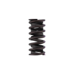 EXHAUST VALVE SPRING