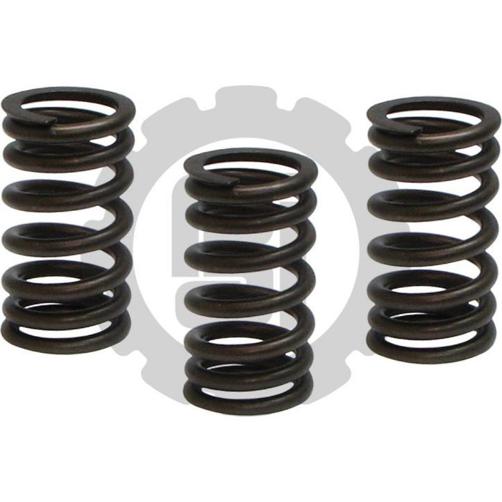 VALVE SPRING