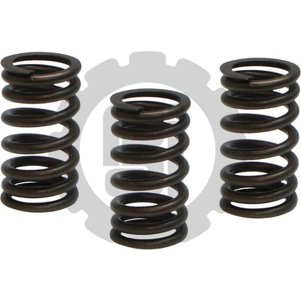 VALVE SPRING
