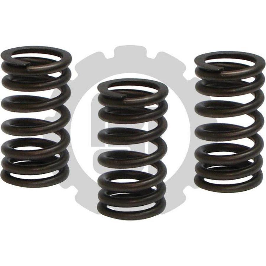 VALVE SPRING