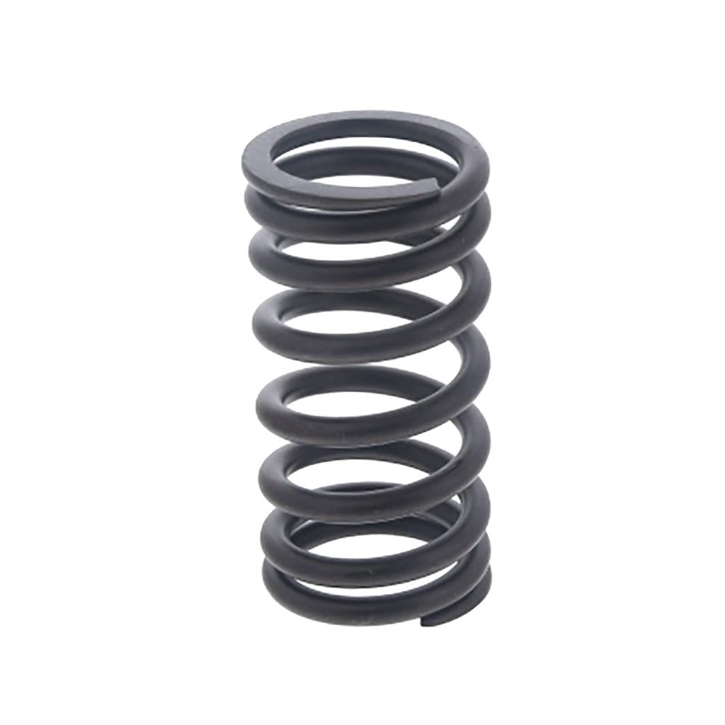 VALVE SPRING