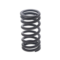 VALVE SPRING