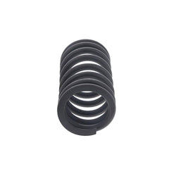 VALVE SPRING