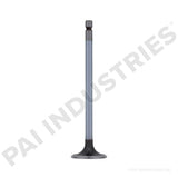 192137 Cummins Intake Valve | PAI