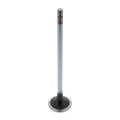 Cummins Intake Valve