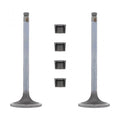 INTAKE VALVE KIT (Pack of 2)