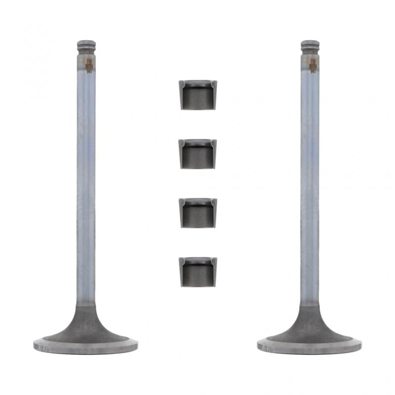INTAKE VALVE KIT (Pack of 2)