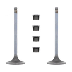 INTAKE VALVE KIT (Pack of 2)