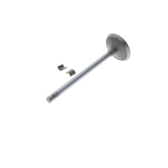 Cummins EXHAUST VALVE KIT (Pack of 2)