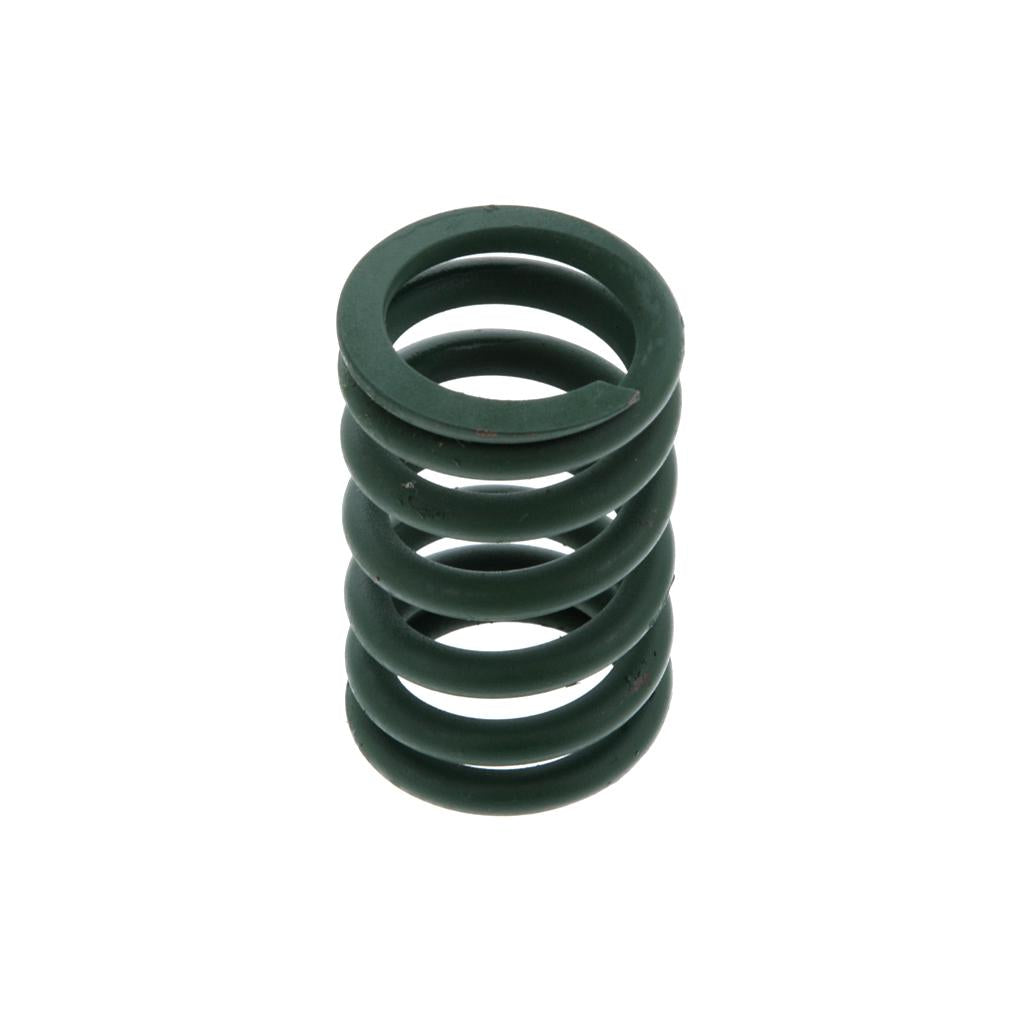 Cummins B 5.9 NATURAL GAS VALVE SPRING (Pack of 2)