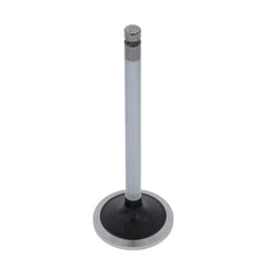 EXHAUST VALVE