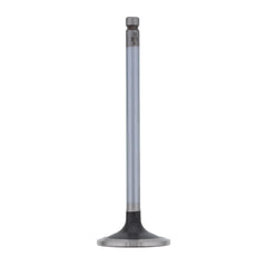 EXHAUST VALVE