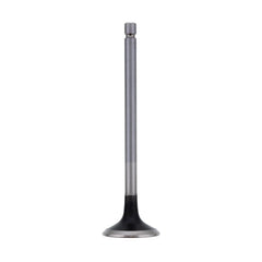 EXHAUST VALVE