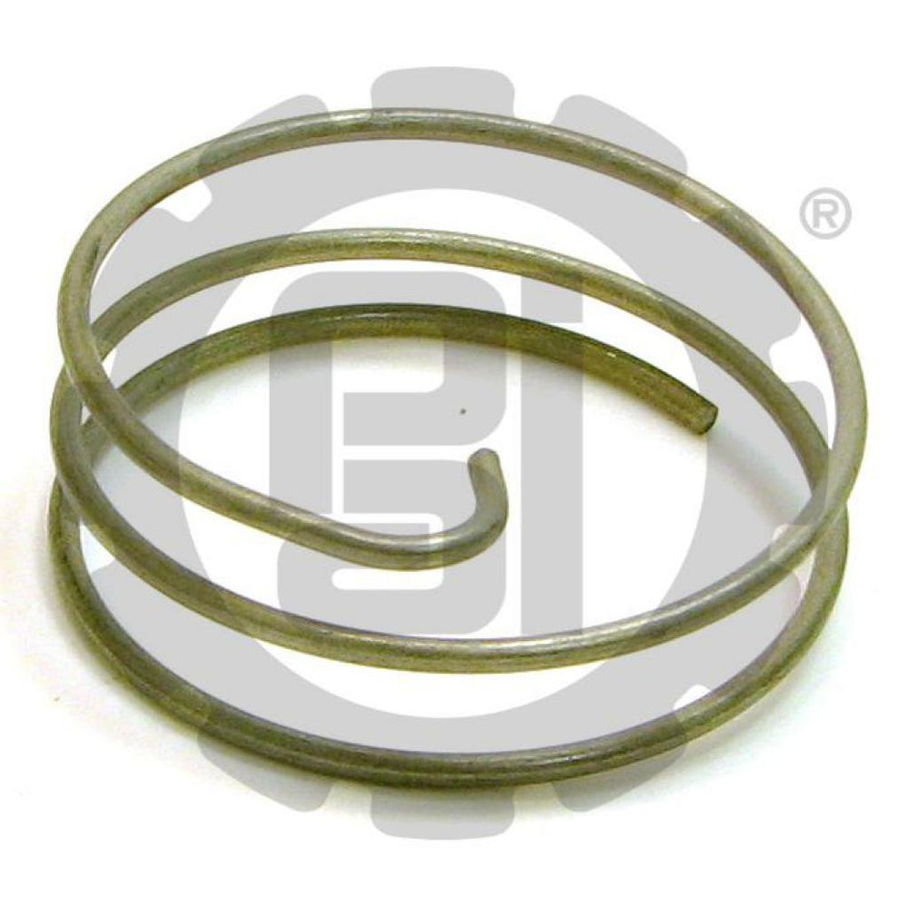 VALVE SPRING