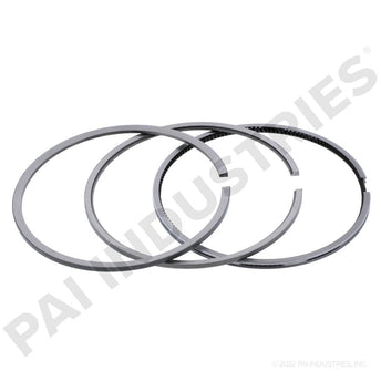 305025 Caterpillar Piston Ring Set | PAI