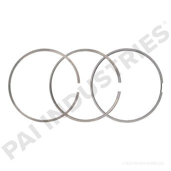 305029 Caterpillar Ring Set | PAI