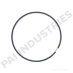 305049 Caterpillar 3176 / C10 / C13 Oil Control Piston Ring | PAI | JAK's Diesel
