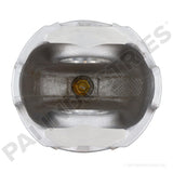 311020 Caterpillar Piston | PAI