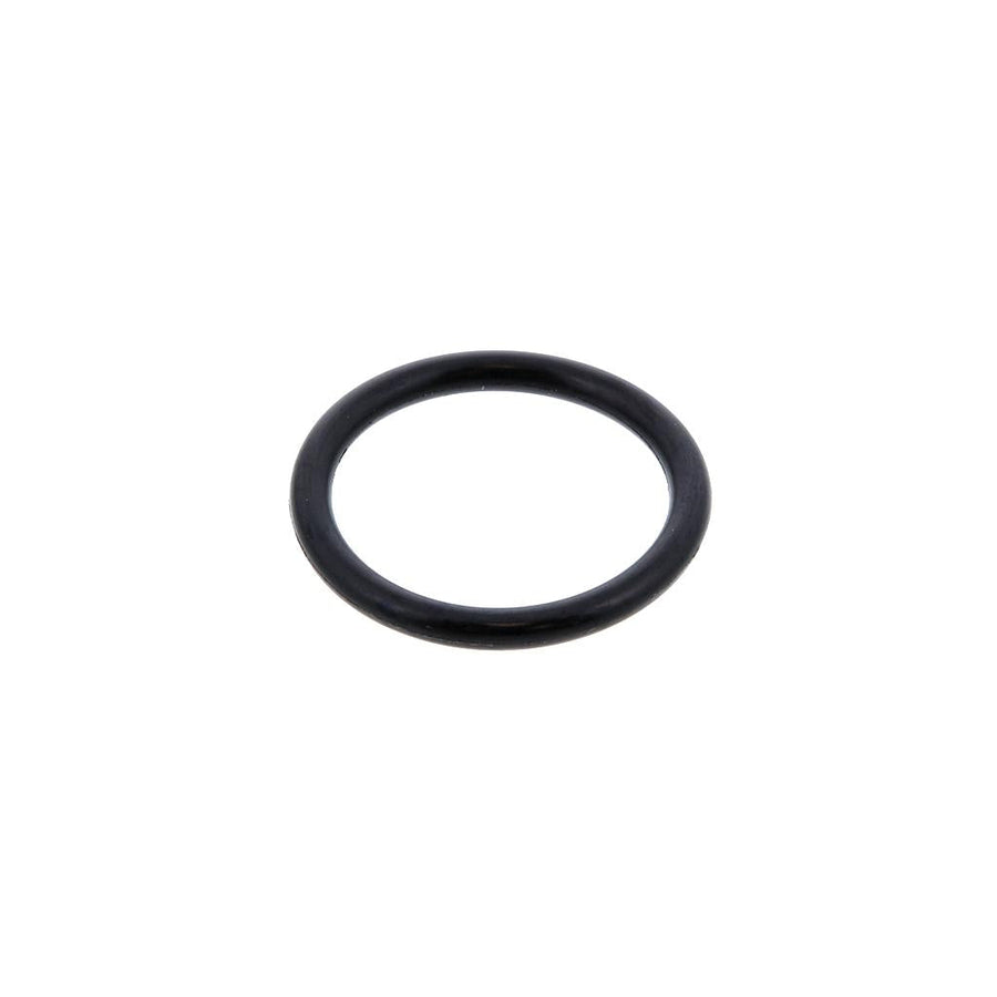 321231 Caterpillar 3100 / C7 / 3116 O-Ring