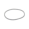 Caterpillar / International 3406E / C15 / C16 O-Ring