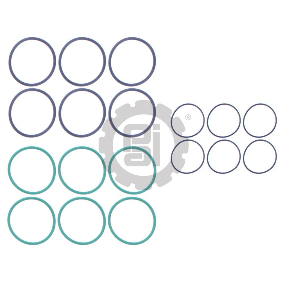 O-RING