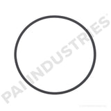 321346 Caterpillar Rectangular Sealing Ring | PAI