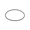 Caterpillar 3176 O-Ring
