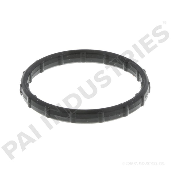 OIL COOLER GASKET