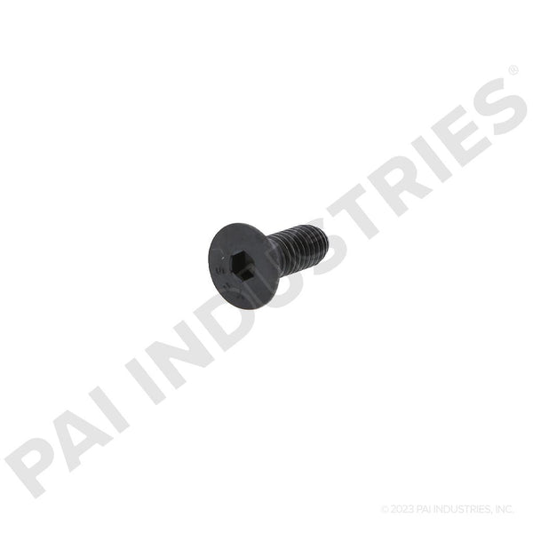 CAMSHAFT SCREW