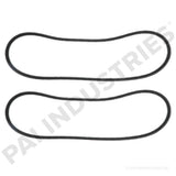 350451 Caterpillar V Belt Set | PAI