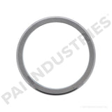 391891 Caterpillar Valve Insert | PAI