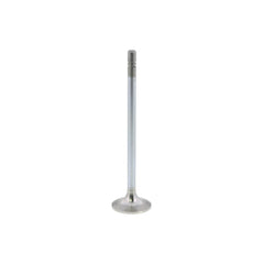 INTAKE VALVE