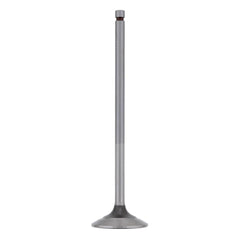 INTAKE VALVE