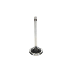 INTAKE VALVE