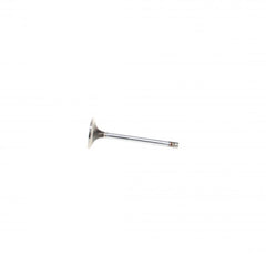Cat / Caterpillar 3300 SERIES EXHAUST VALVE (Pack of 2)
