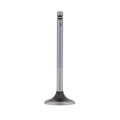 EXHAUST VALVE