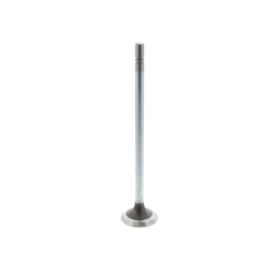 Caterpillar Exhaust Valve, PAI 391963 (OEM 1537024), Pack of 2