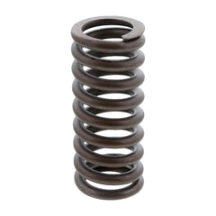 INTAKE VALVE SPRING