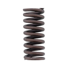 INTAKE VALVE SPRING