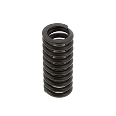 VALVE SPRING