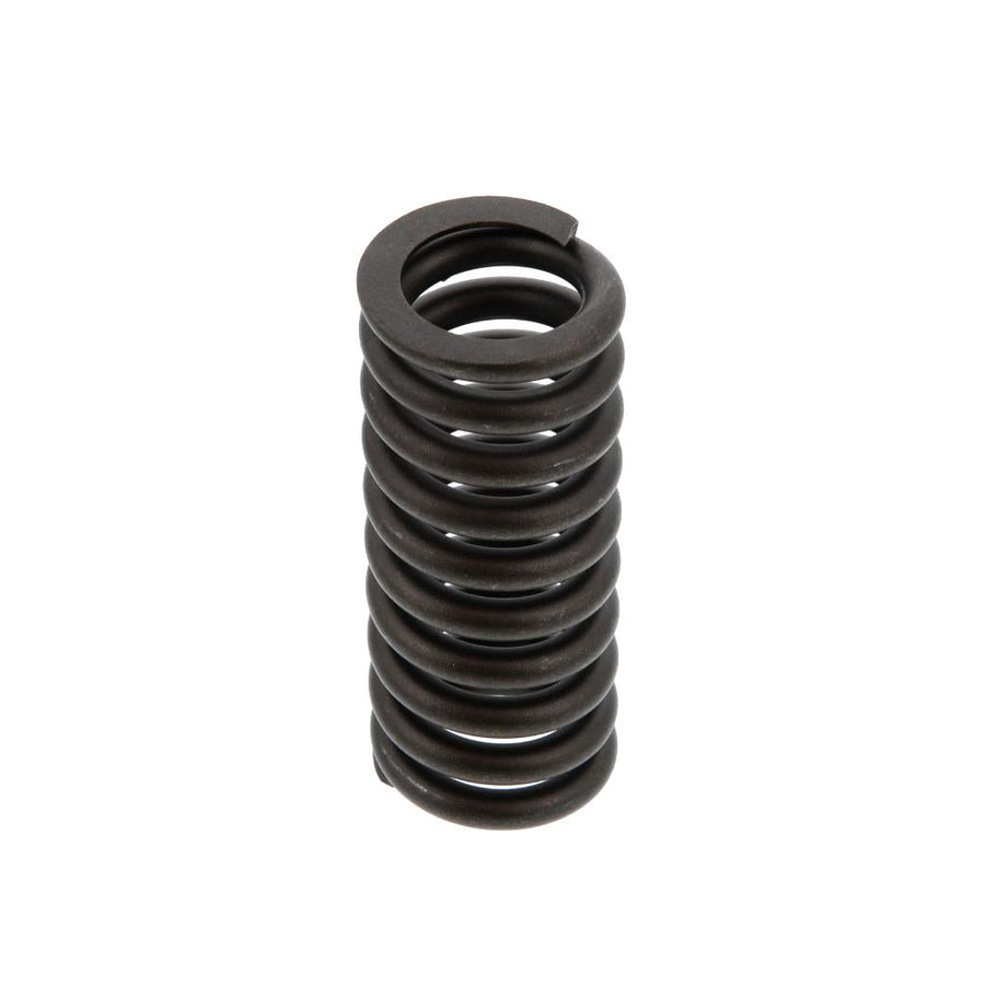 Caterpillar 3100 Valve Spring, PAI 392040 (OEM 7C4273), Pack of 6