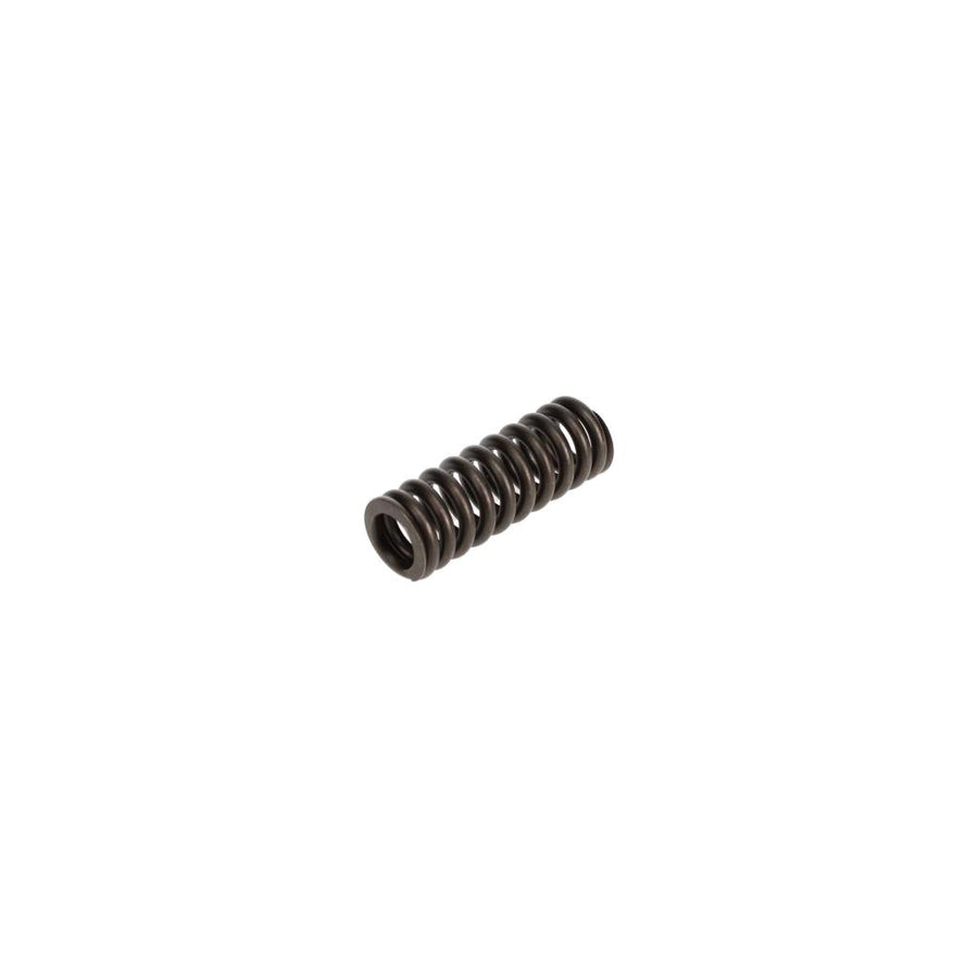 Caterpillar 3100 Exhaust Valve Spring, PAI 392041 (OEM 6I2307), Pack of 6