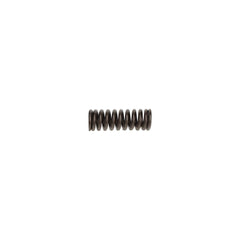 VALVE SPRING