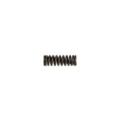 VALVE SPRING