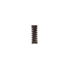 VALVE SPRING