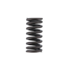 OUTER VALVE SPRING