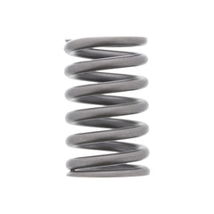 OUTER VALVE SPRING