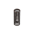 Caterpillar 3400 Inner Valve Spring