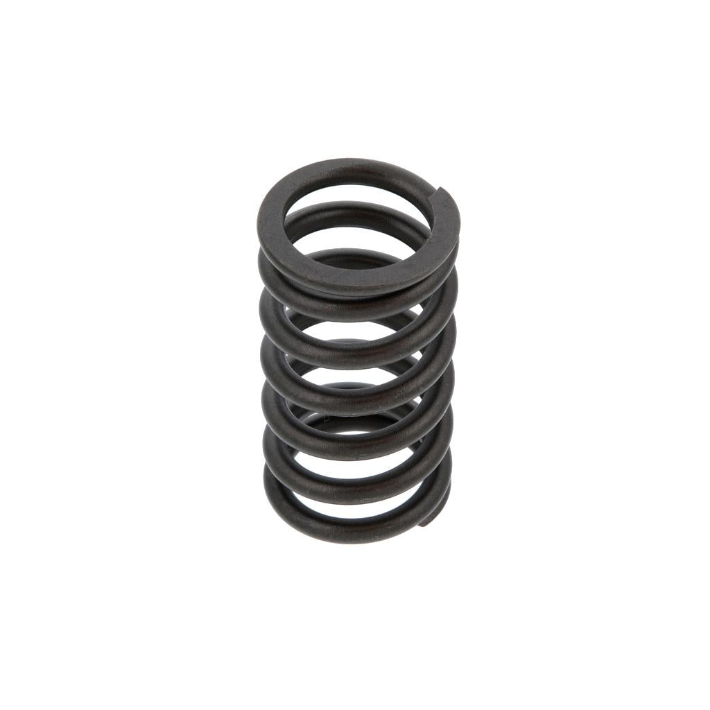 OUTER VALVE SPRING