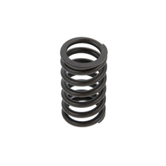 OUTER VALVE SPRING